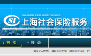 上海养老保险查询