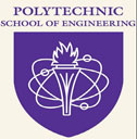 纽约大学理工学院(Polytechnic Institute of New York University)